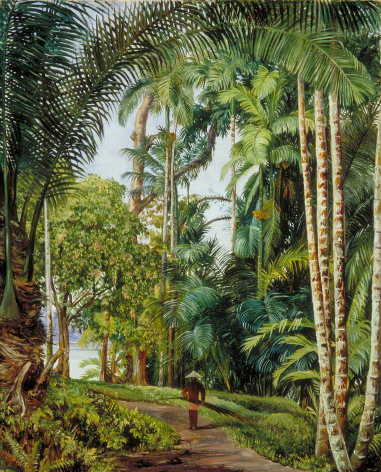 Marianna North. Walk along the trail among palm trees, Sarawak, Borneo