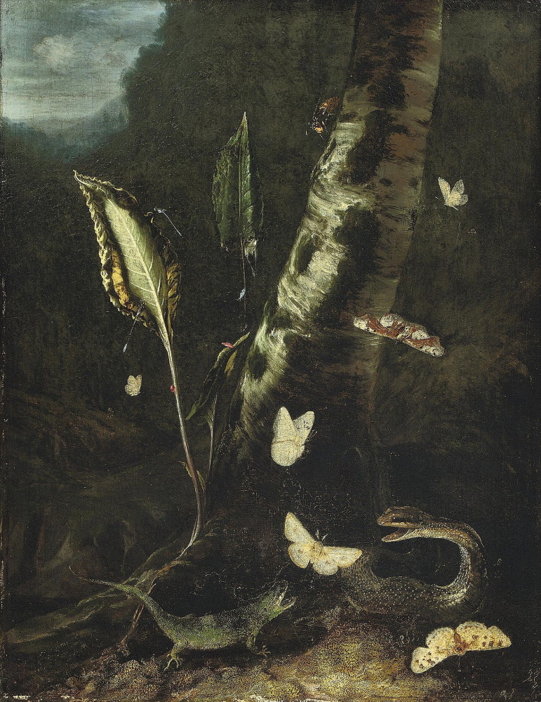Otto Marceus van Scriec. Forest still life with a lizard, a snake and butterflies