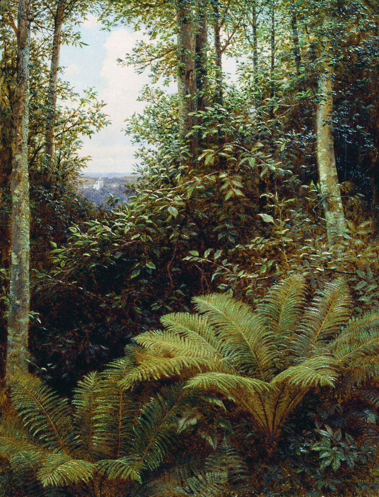 Gabriel Pavlovich Kondratenko. Ferns