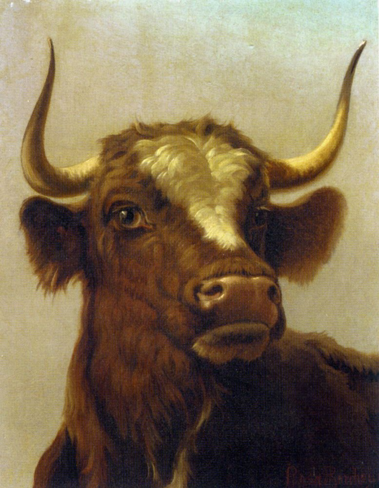 Rose Bonhur. The bull's head