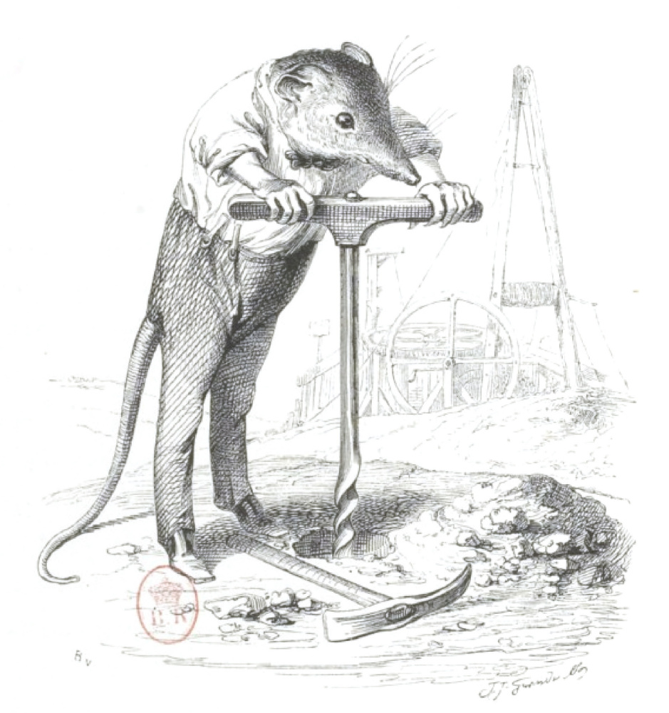 Jean Ignace Isidore Gérard Grandville. Fighting the stove. "Scenes from the public and private life of animals"