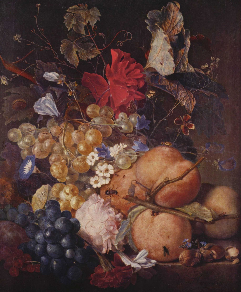Ян ван Хейсум. Плоды, цветы и насекомые