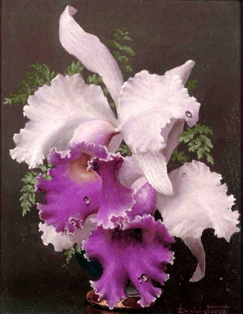 Leo Smaragdovich Chistovsky. Orchids.