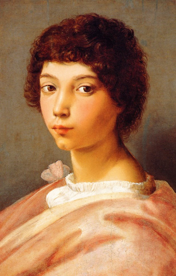 Raphael Sanzio. Portrait of a young man