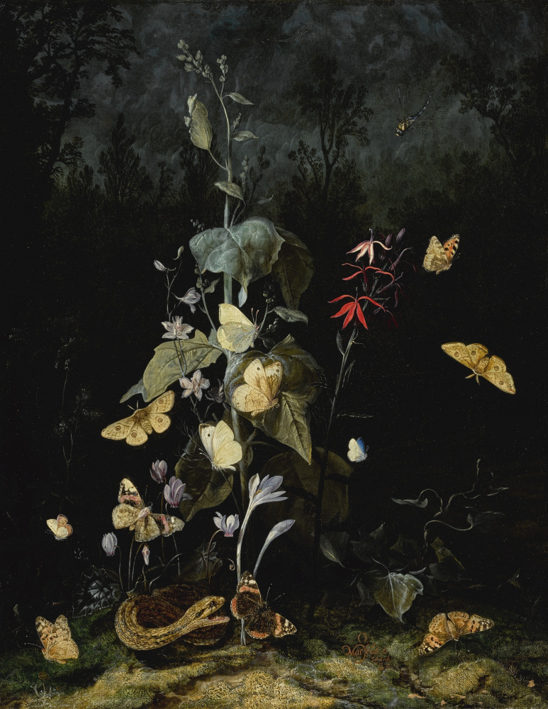 Otto Marceus van Scriec. Still life with wild flowers, including cyclamen, crocus, delphinium, with a snake and butterflies