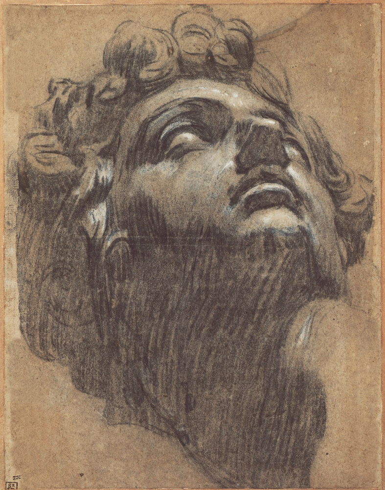 Jacopo (Robusti) Tintoretto. The head of Giuliano Medici. Sketch