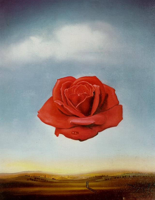 Salvador Dali. Meditative rose