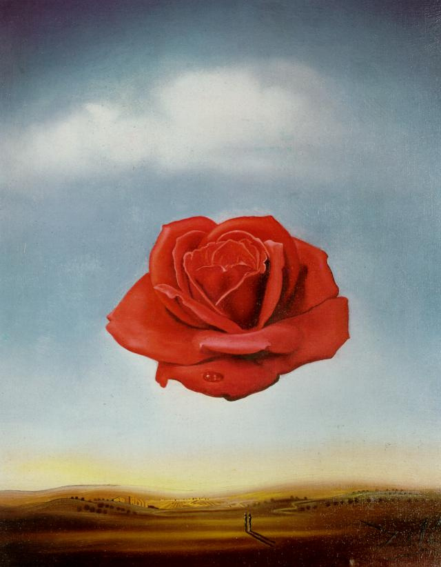 Salvador Dali. Rose méditative