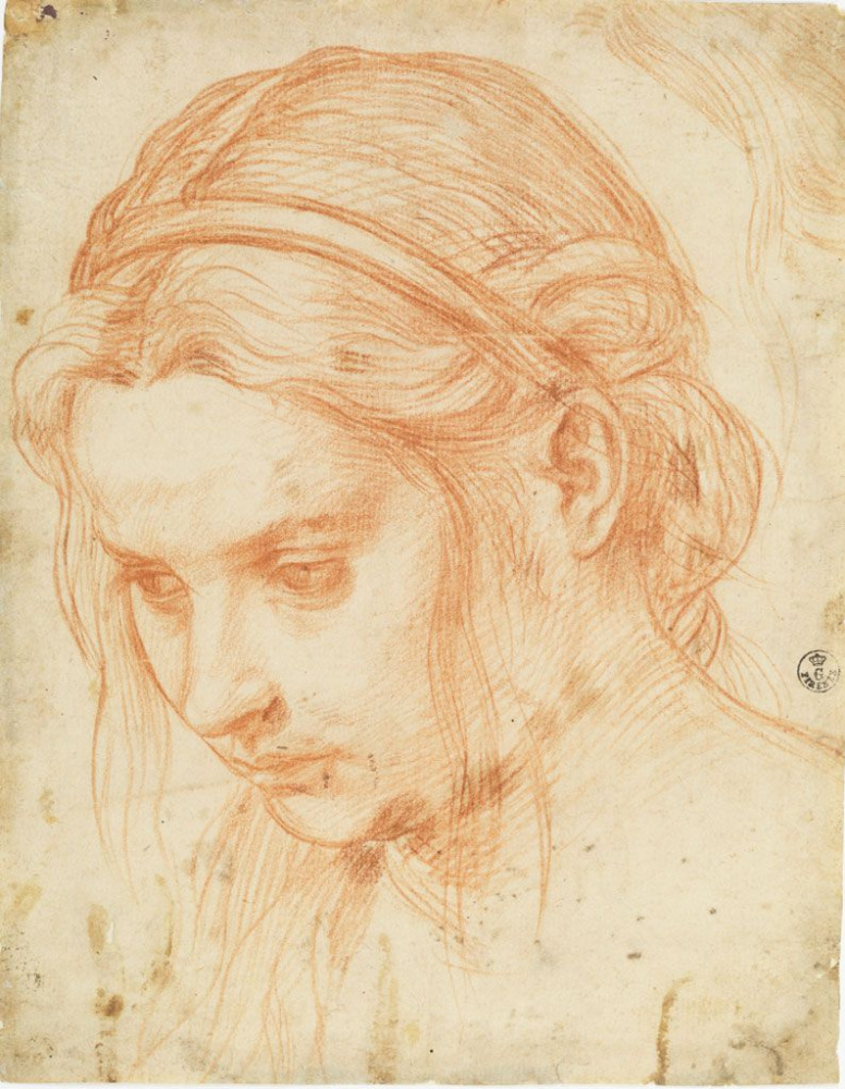 Andrea del Sarto. A head study of a young woman