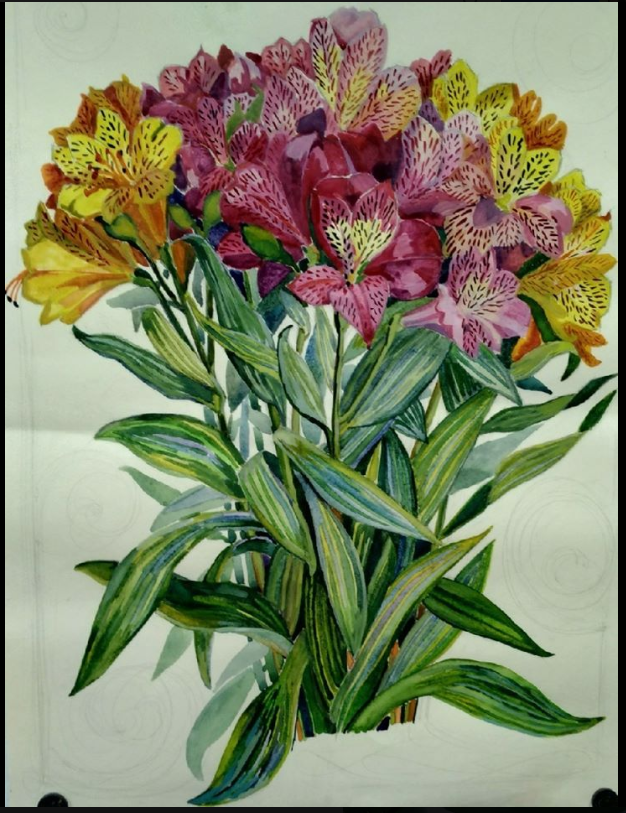 Astromeria (Peruvian Lily)