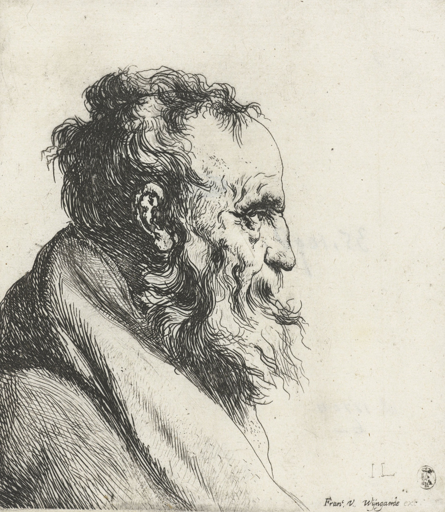 Jan Lievens. Profile of an elderly man with a beard