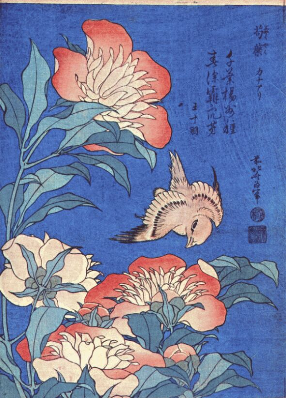 Katsushika Hokusai. Peonies and Canary