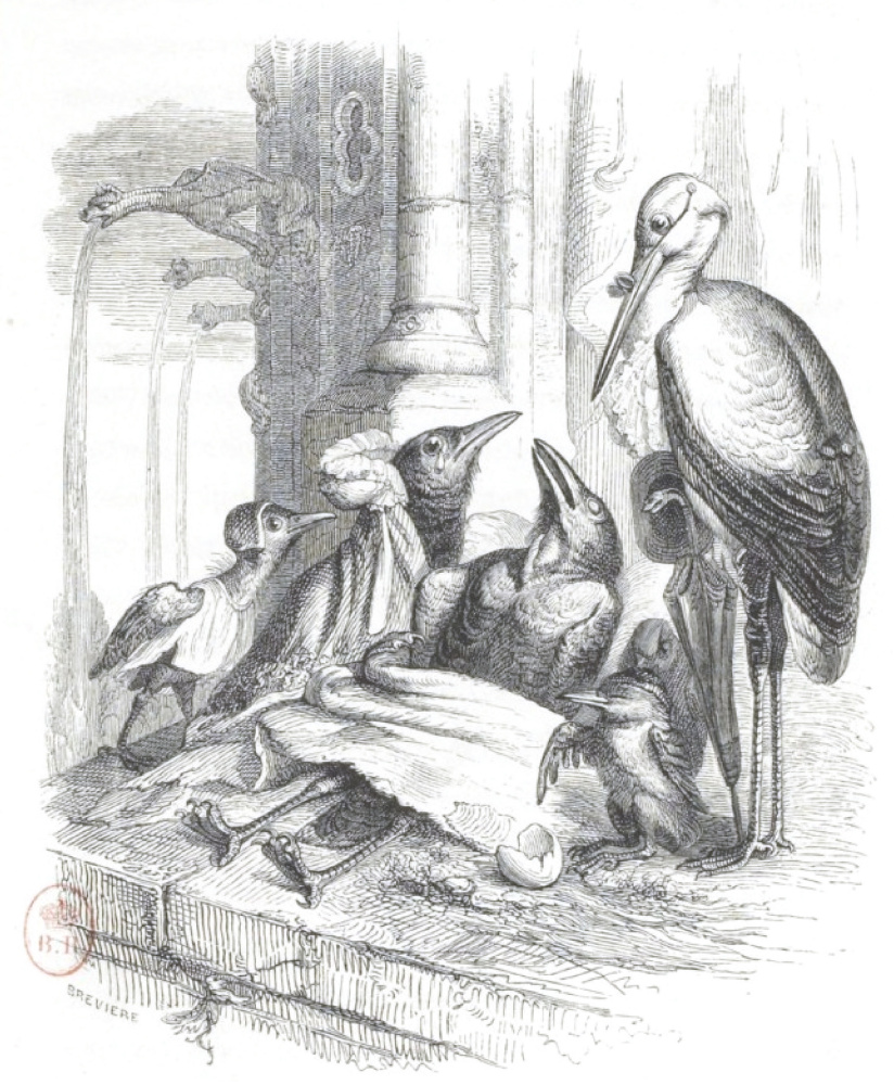 Jean Inias Isidore (Gerard) Granville. Sus últimas palabras. "Escenas de la vida pública y privada de los animales"