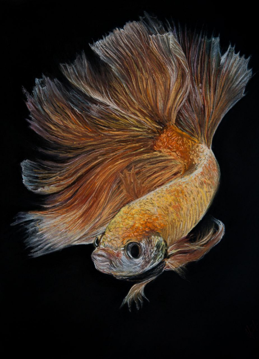 Svetlana. Goldfish