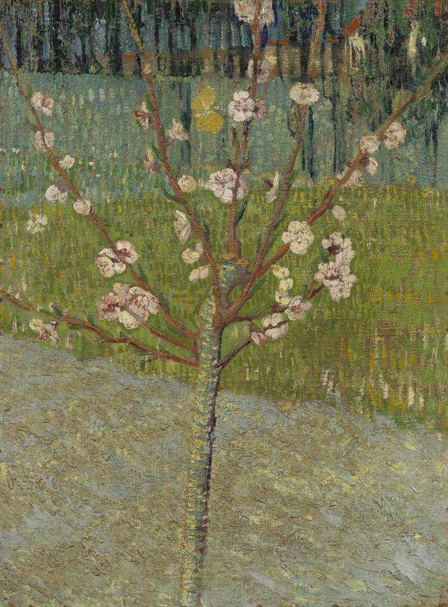 Vincent van Gogh. Blossoming almond tree