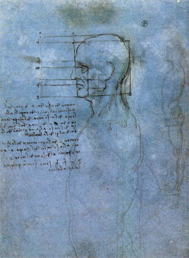 Леонардо да Винчи. Пропорции головы