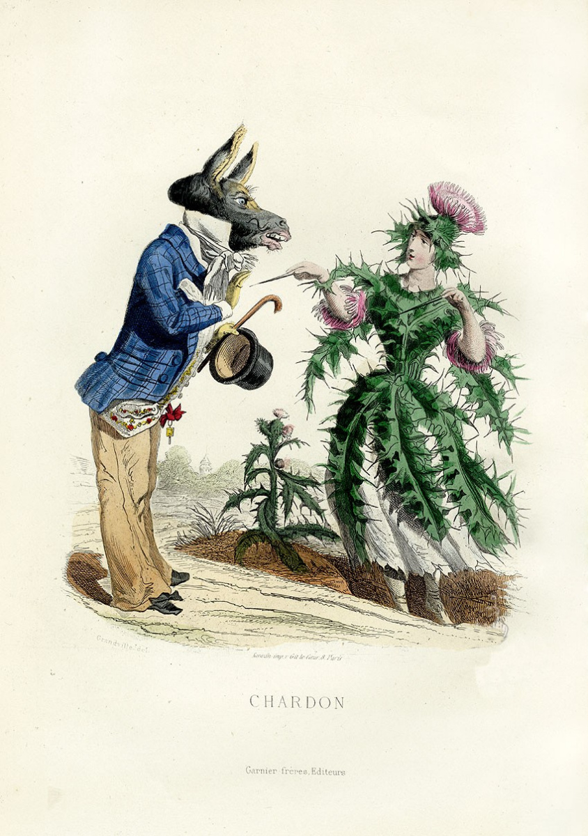 Jean Ignace Isidore Gérard Grandville. Thistle. The series "Animate Flowers"