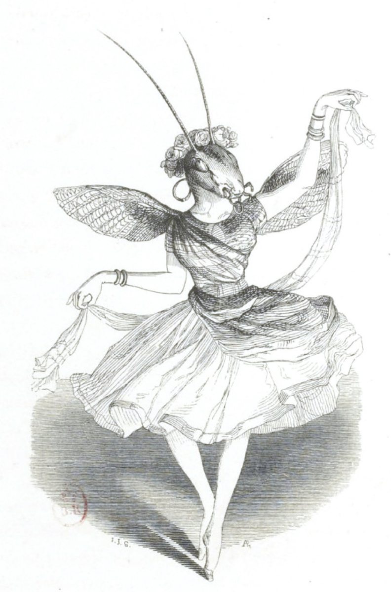 Jean Ignace Isidore Gérard Grandville. The prima locust represents Nymph. "Scenes of public and private life of animals"