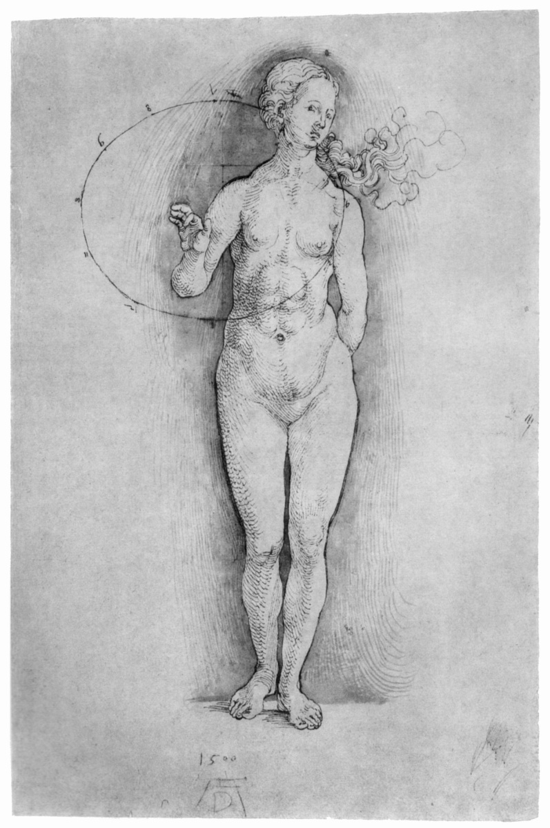 Albrecht Dürer. Nude