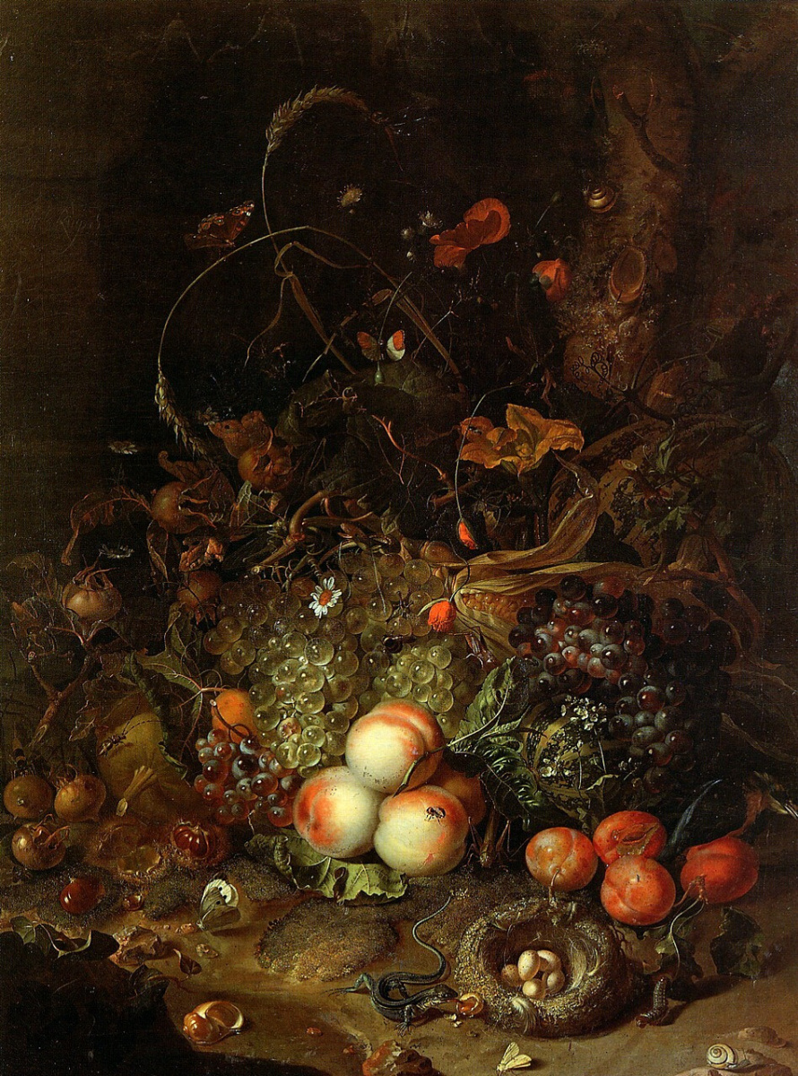 Rachelle Ruysch. 水果，花卉，爬行动物和昆虫在森林的边缘