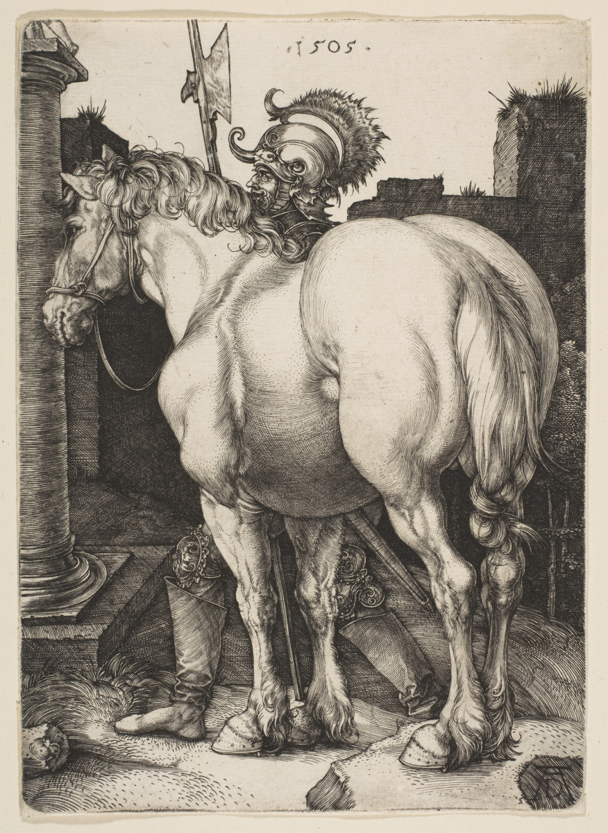 Albrecht Dürer. Big horse