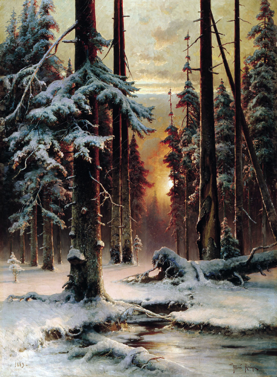 Julius Klever. Winter sunset in the fir forest