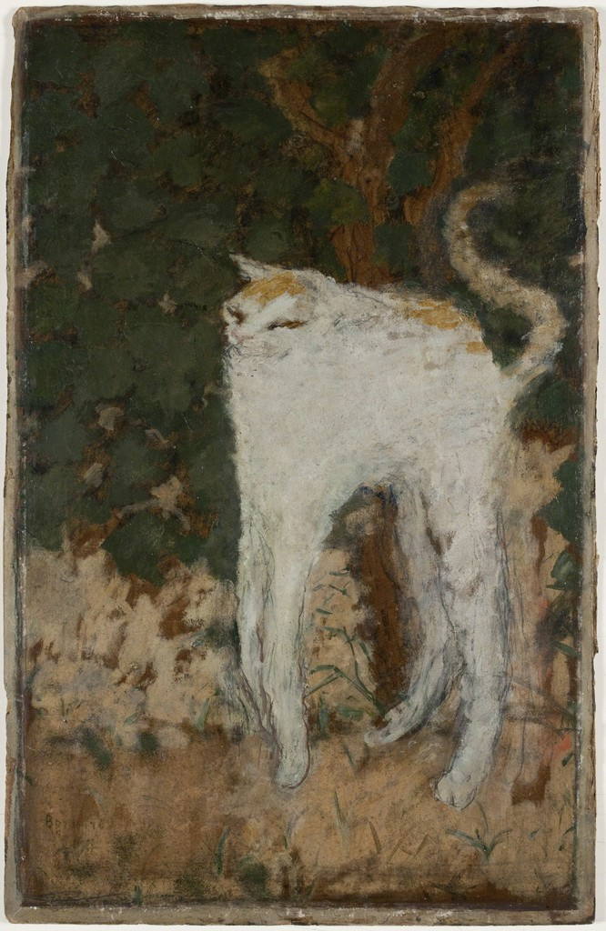 Pierre Bonnard. White cat