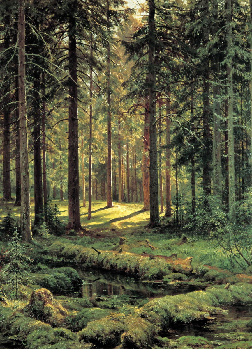 Ivan Shishkin. A coniferous forest. Sunny day