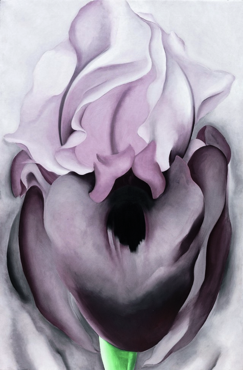 Georgia O'Keeffe. Black iris VI