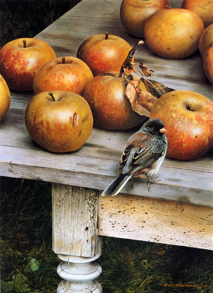 Carl Brenders. Apple harvest