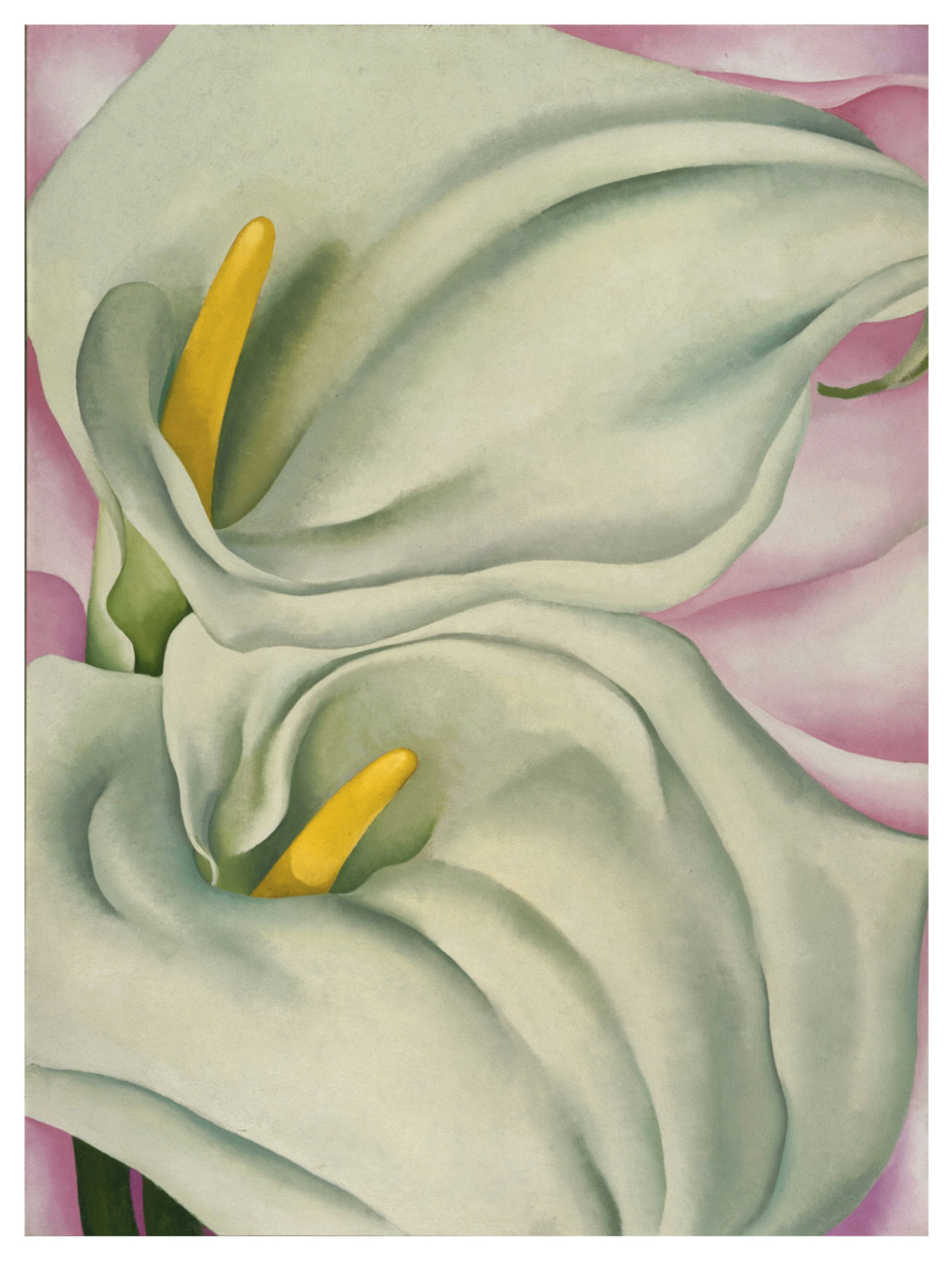 Two Calla lilies on pink, 1928, 76×102 cm by Georgia O'Keeffe