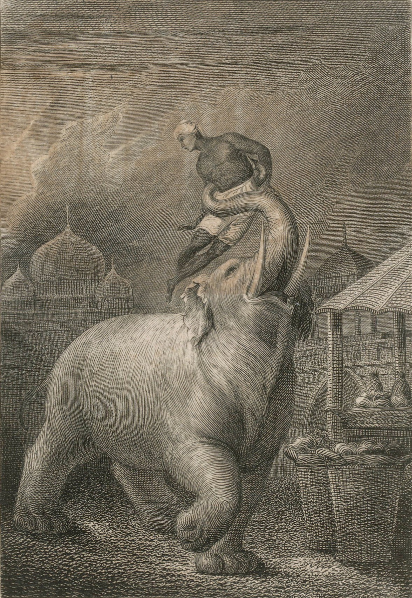 William Blake. Enraged elephant. Illustrations for the collection of ballads, by William Hayley