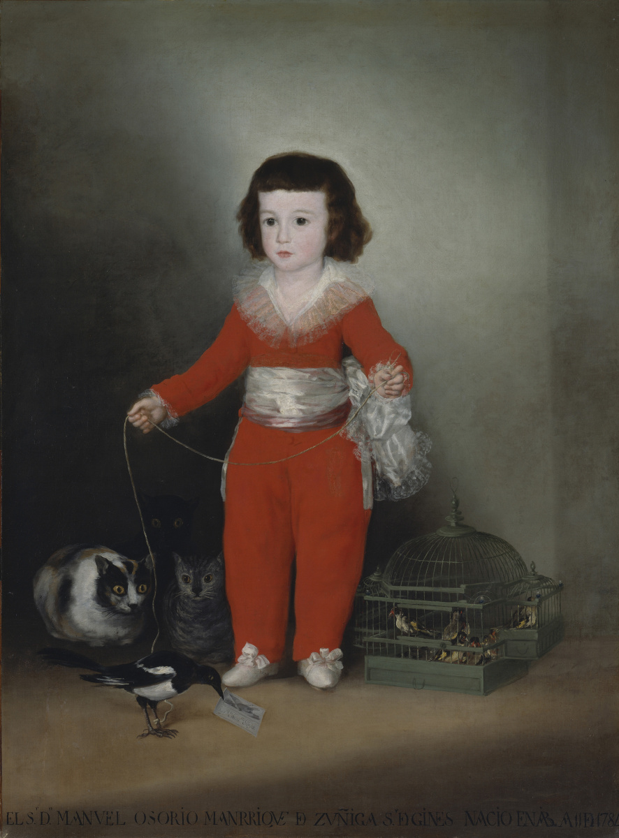 Francisco Goya. Don Manuel Osorio Manrique de zúñiga, child