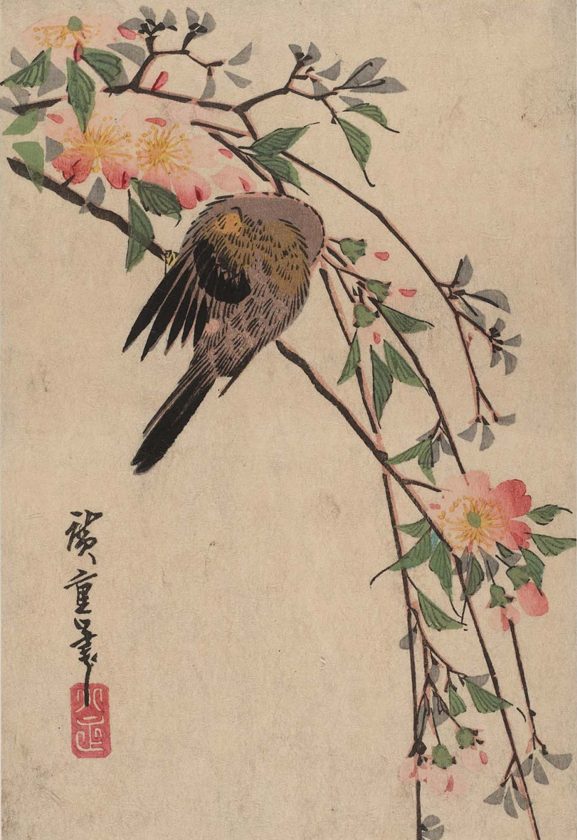 Утагава Хиросигэ. Птица на цветущей ветке