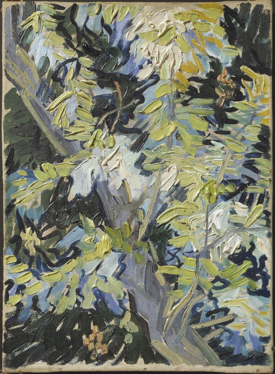 Vincent van Gogh. Branches of flowering acacia