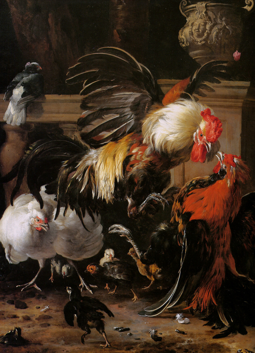Melchior de Hondecuiter. Fighting cocks