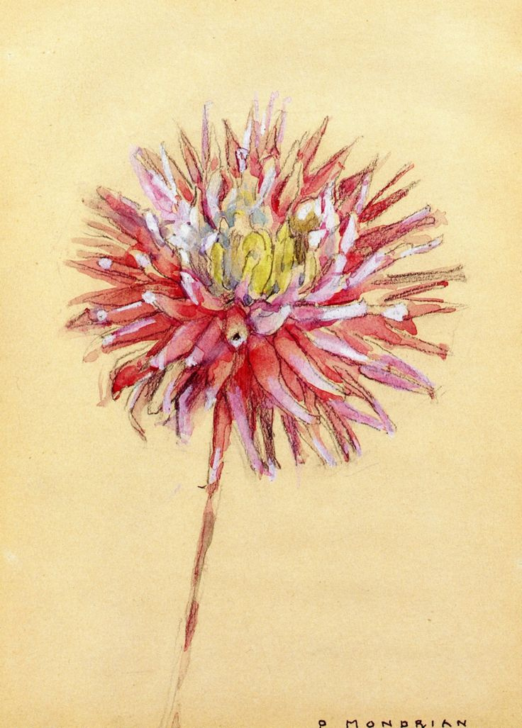 Piet Mondrian. Dahlia