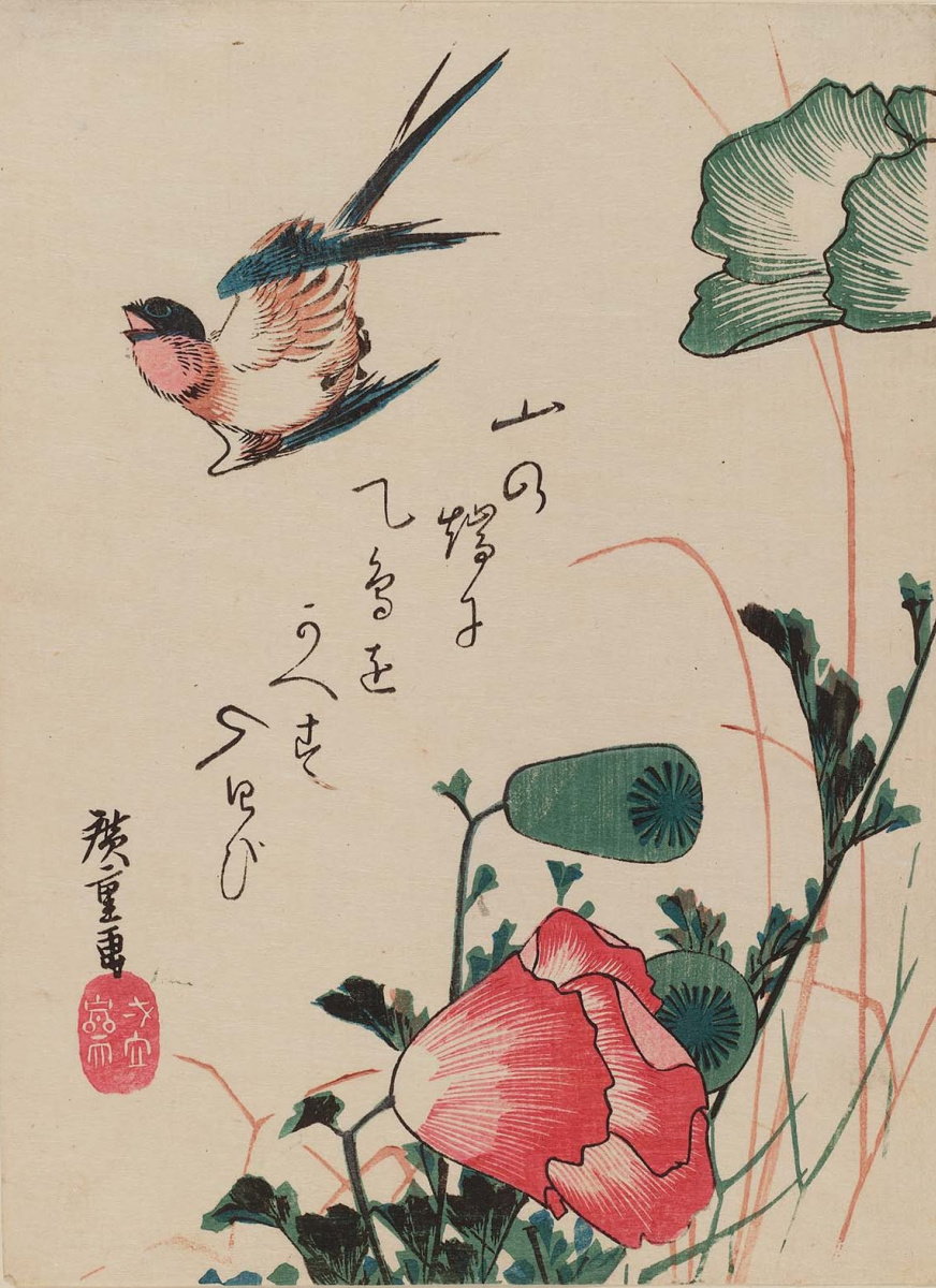 Utagawa Hiroshige. Schlucken und mohn Serie "Vögel und Blumen"