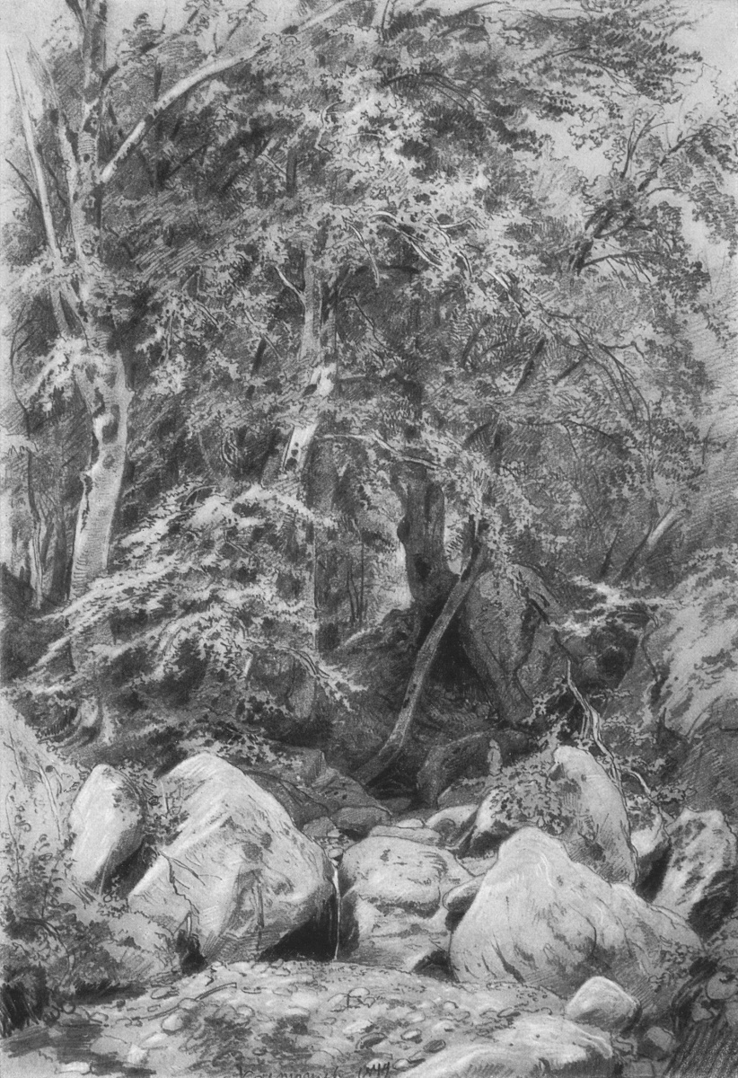 Ivan Ivanovich Shishkin. Trees near a stream on mount Castel