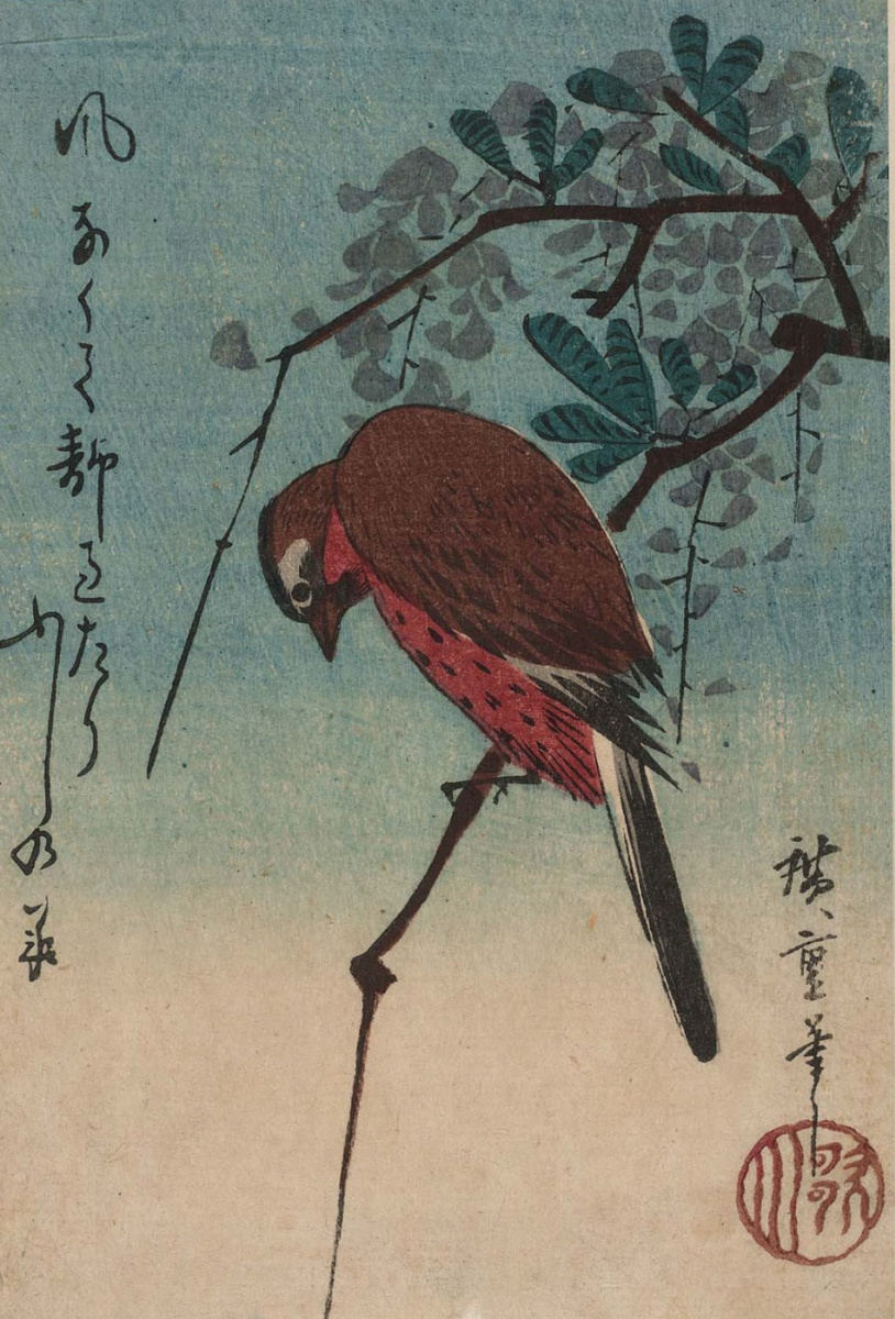 Utagawa Hiroshige. Vogel auf einer Glyzinienniederlassung