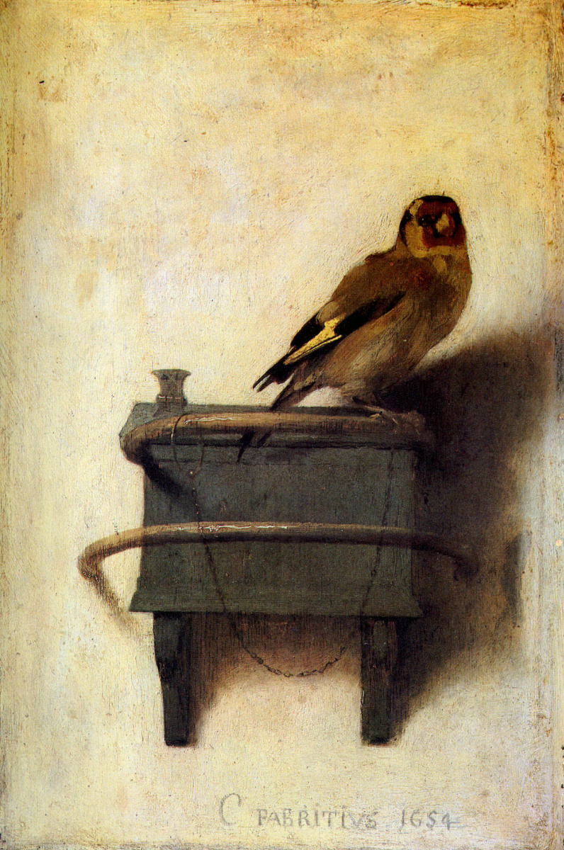 Goldfinch