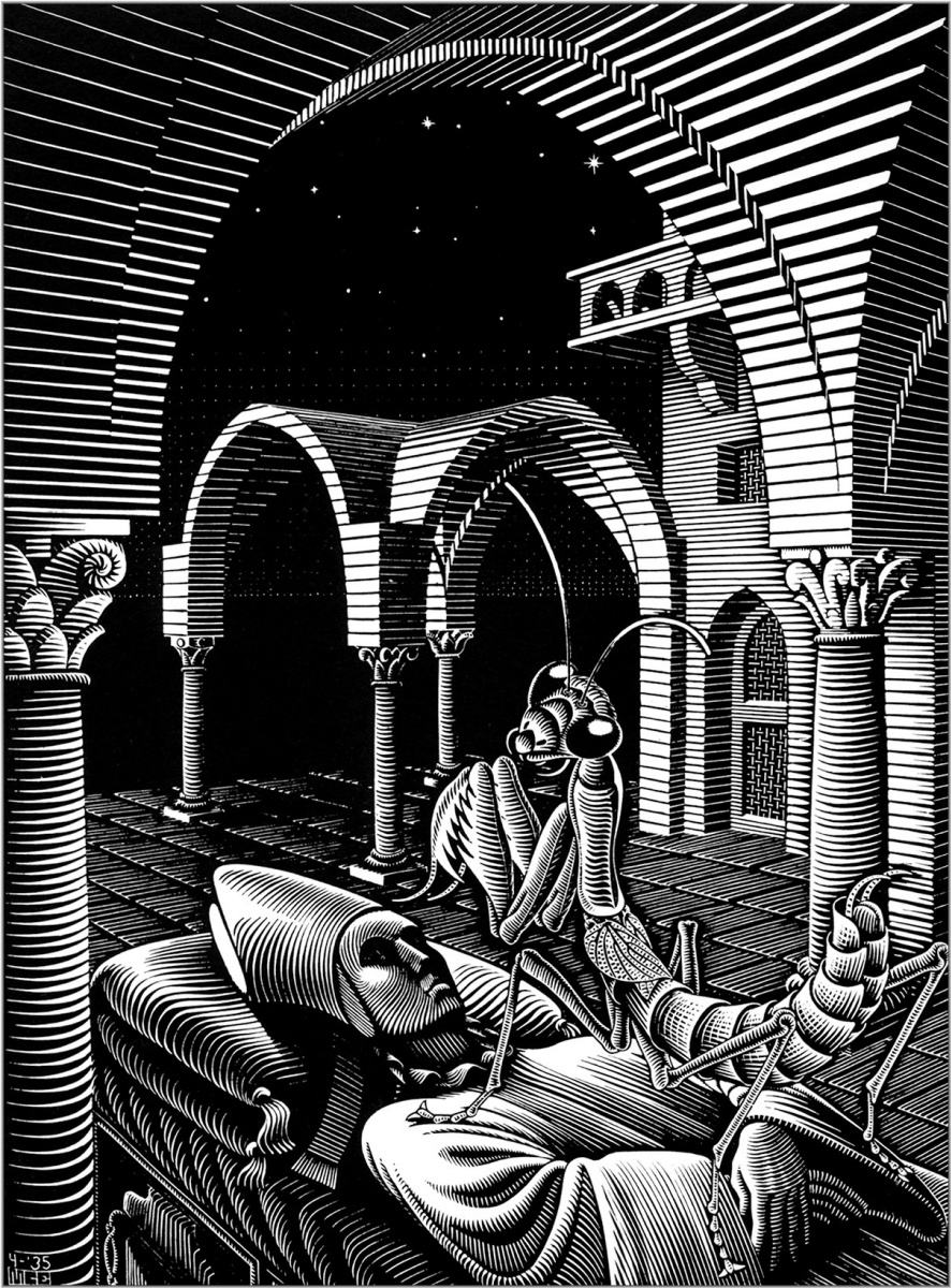 Maurits Cornelis Escher. Sleep