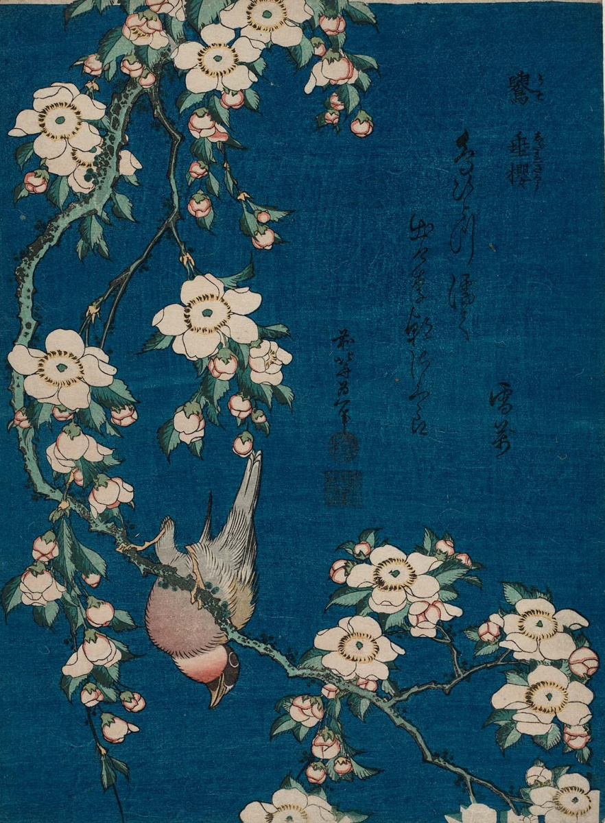 Utagawa Hiroshige. Bullfinch auf einem Kirschzweig bedeckt mit Blumen