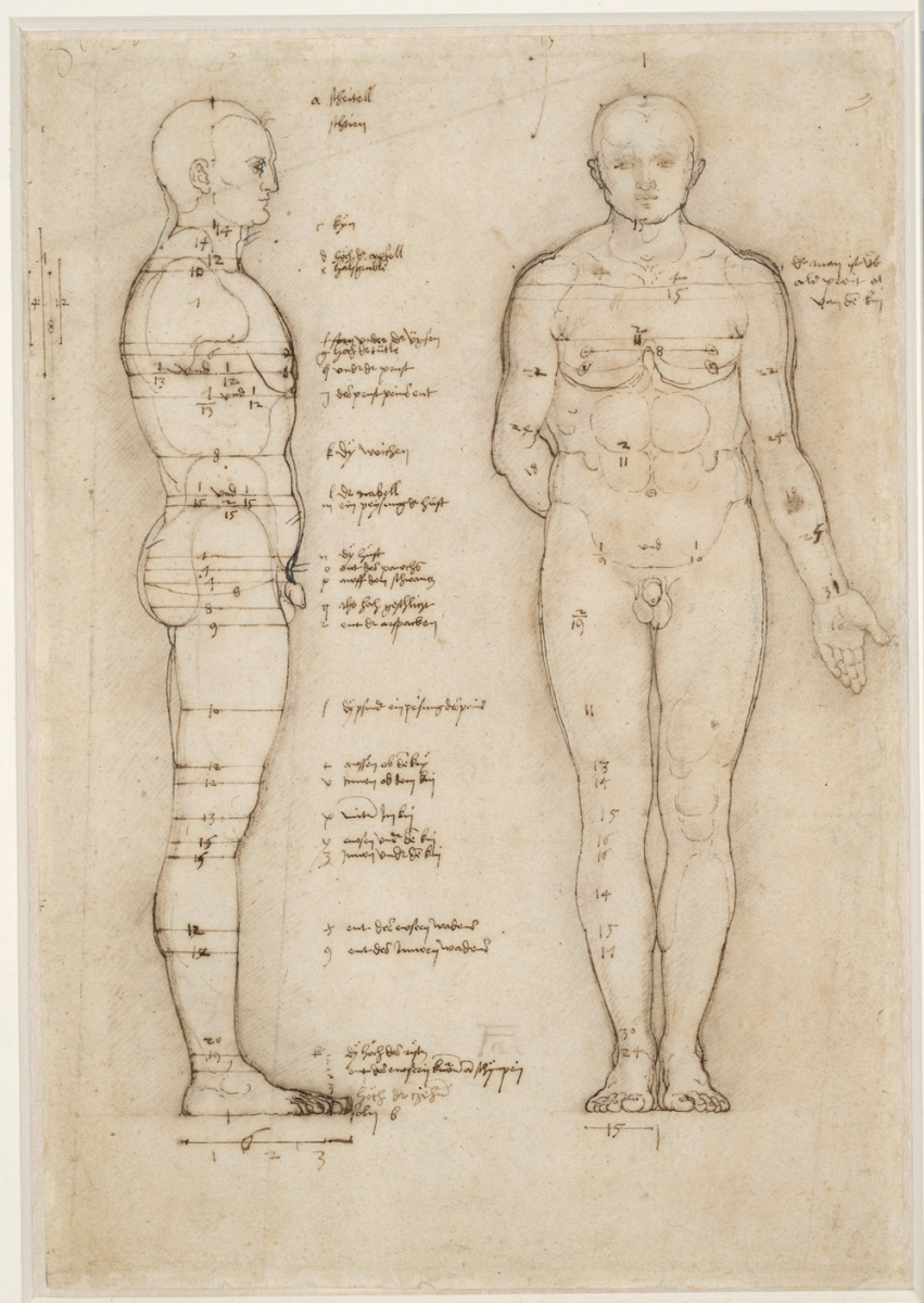 Albrecht Durer. 男性裸体。探索比例