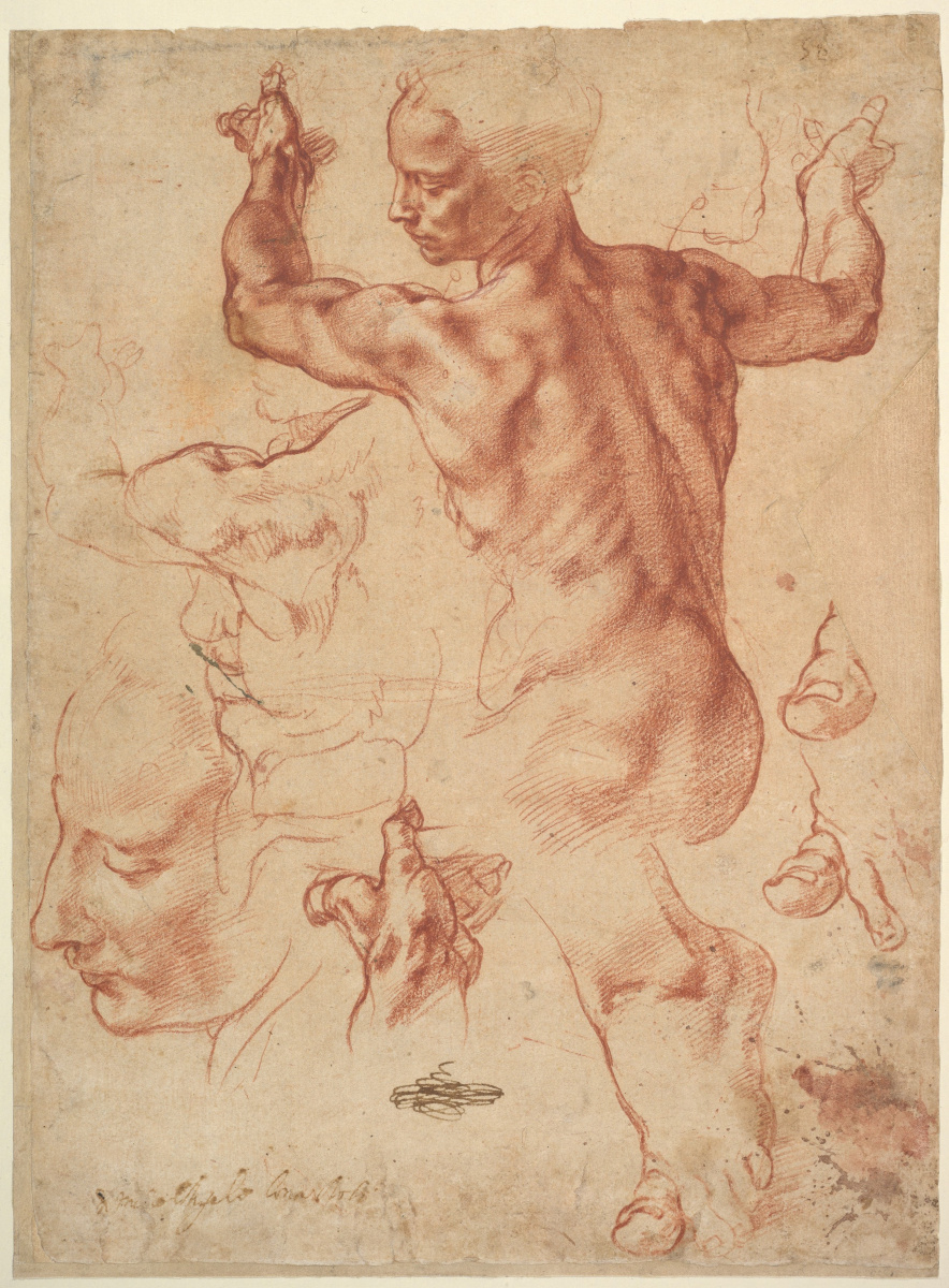 Michelangelo Buonarroti. The Libyan sibyl (sketch)