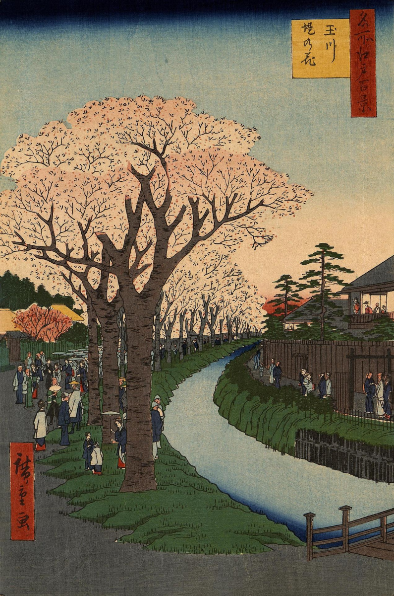 Utagawa Hiroshige. Blühende Kirschbäume an den Ufern des Flusses Tamagawa. Serie "100 berühmte Ansichten von Edo"