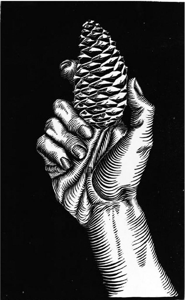 Maurits Cornelis Escher. Hand with a bump