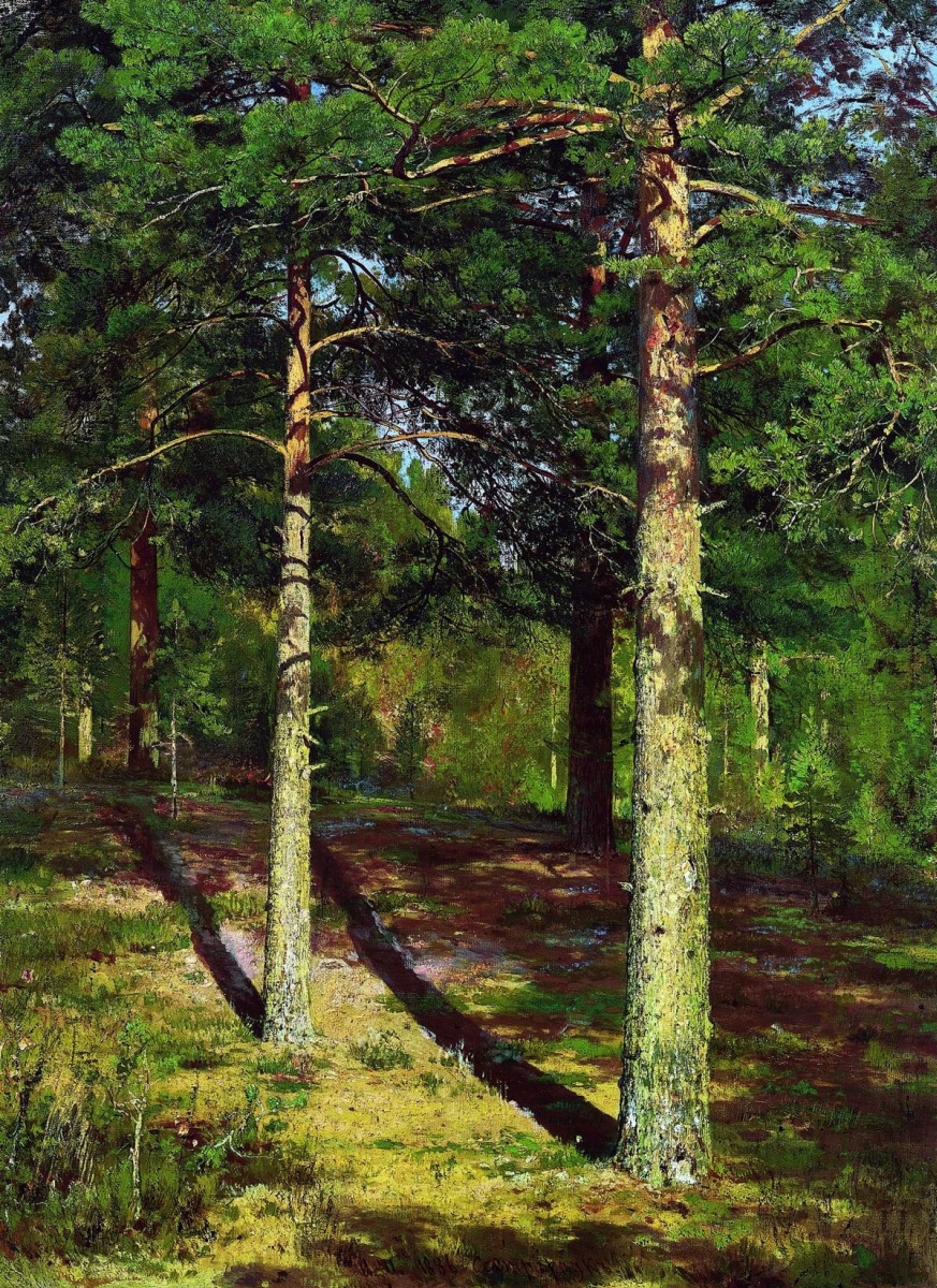 Ivan Ivanovich Shishkin. Pine trees illuminated by the sun