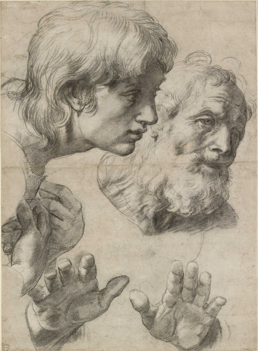 Raphael Santi. Study for the painting "Transfiguration". The head and hands of the apostles