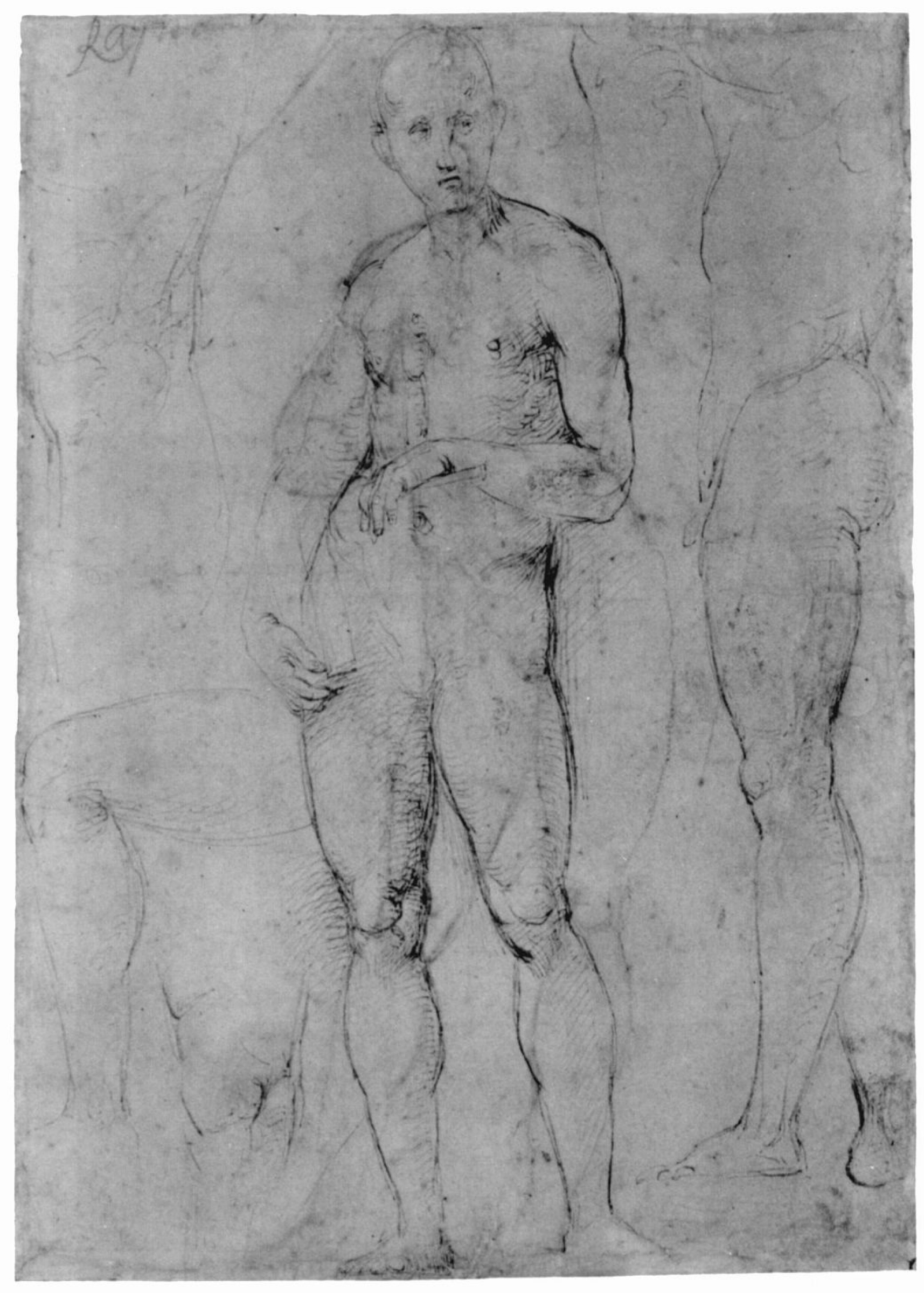 Study of a Nude male figure, 1507, 19×27 cm by Raphael Sanzio: History,  Analysis & Facts | Arthive